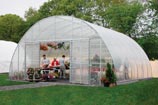 Grow fodder in a greenhouse
